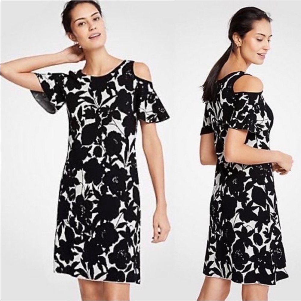 Ann Taylor Dress